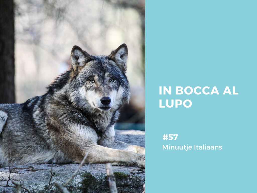 Bocca al lupo betekenis