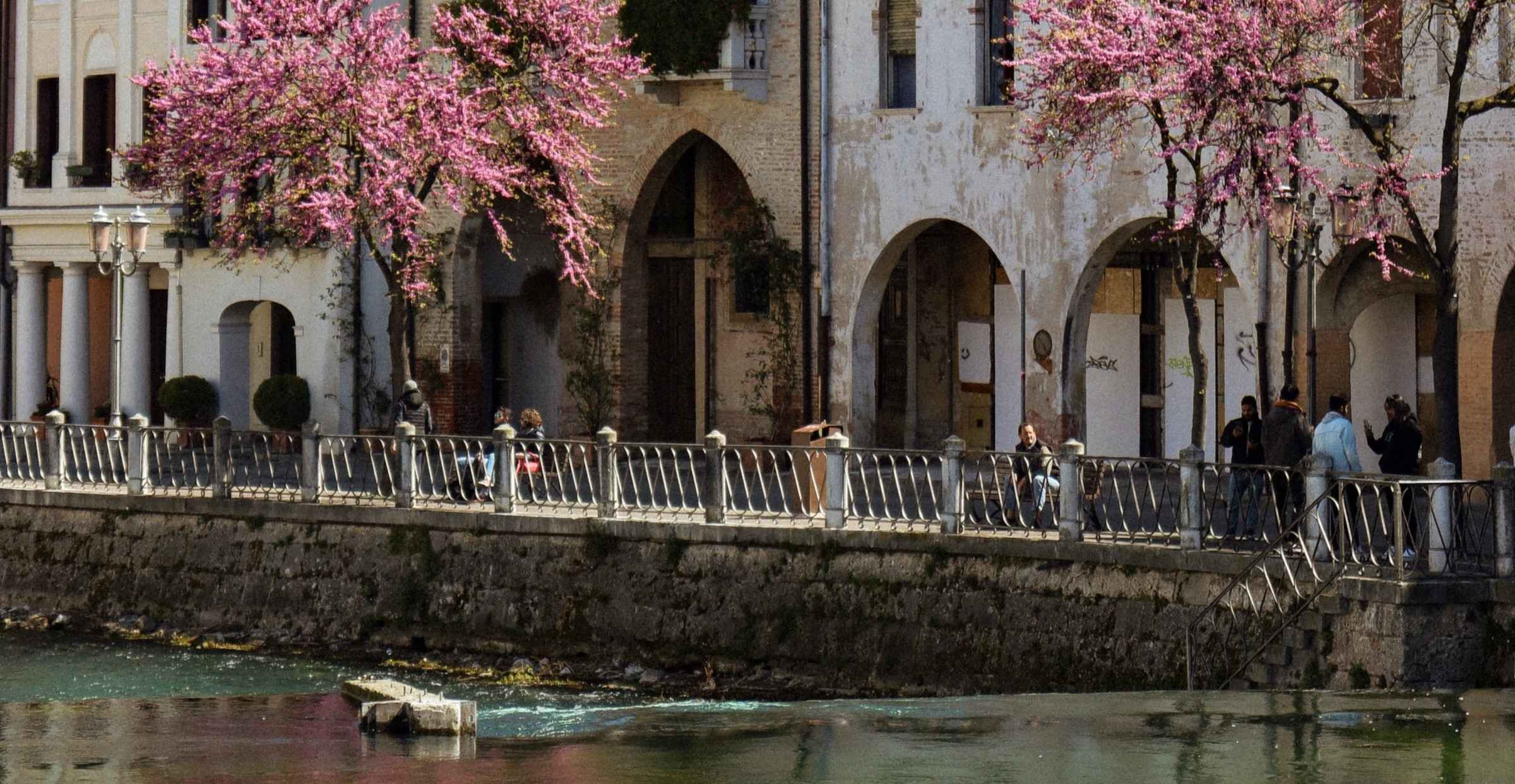 Treviso: stad van vele kanalen en tiramisu